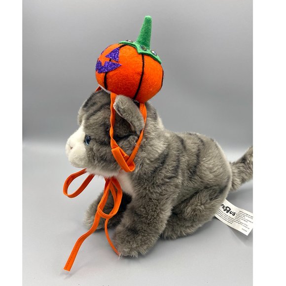 Small Pet Halloween Hat ~ "Little Pumpkin" 🎃 - Picture 4 of 5